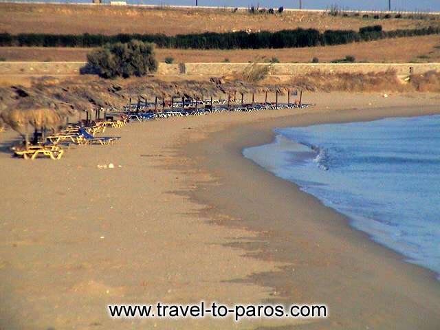 GOLDEN BEACH - Chryssi Akti (Golden beach) is one of the most beautiful beaches of Paros that attracts many toustists.