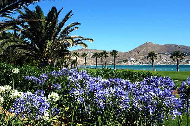 The garden and the private beach CLICK TO ENLARGE