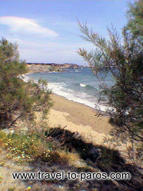 LOLANTONIS BEACH - Lolantonis beach lies just after Drios and closer to Aspro Horio.